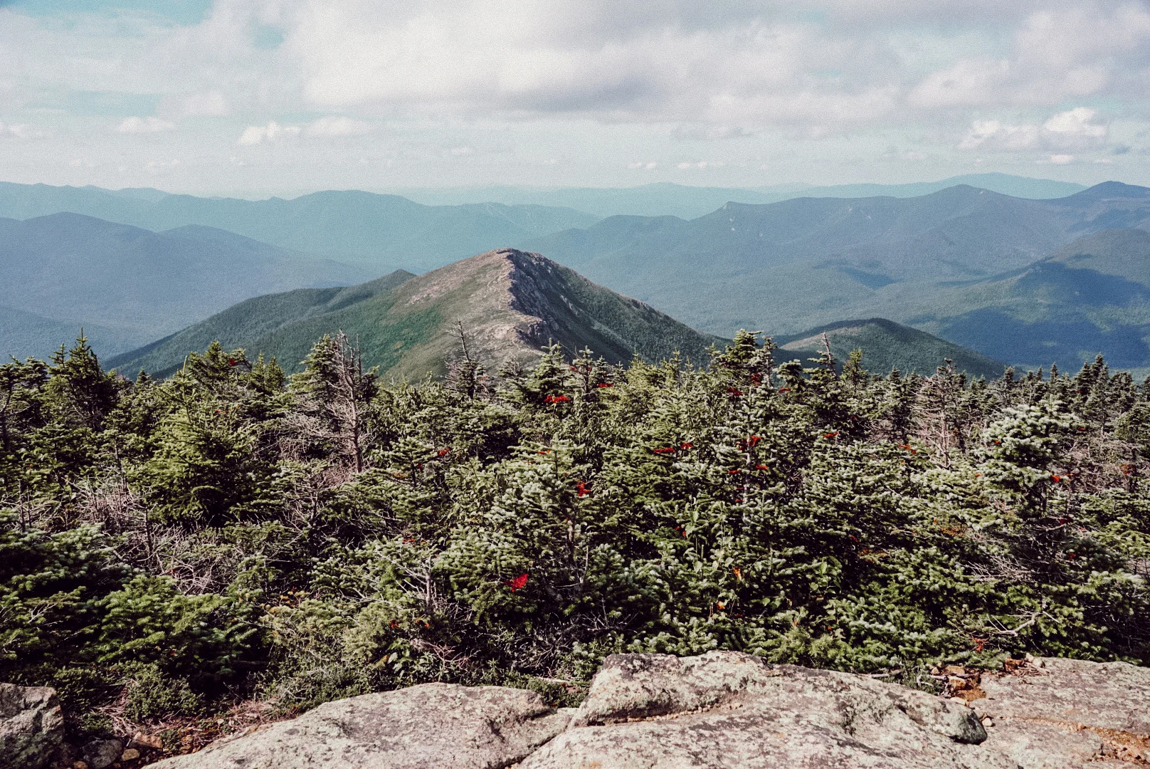view from Mt. Bond