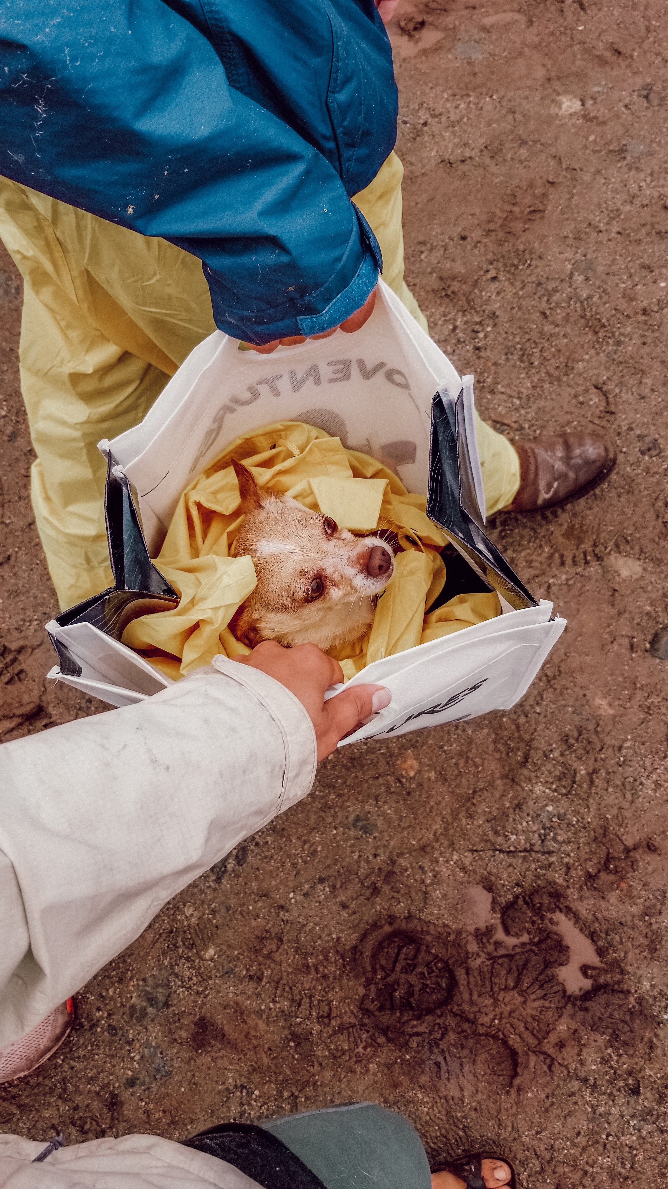 Bruno was not trying to get his feet dirty…