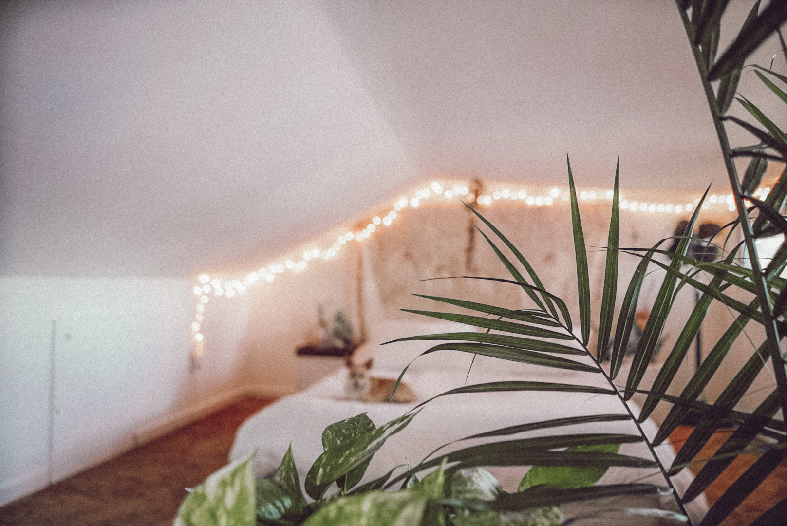 As a crazy plant lady, I use air purifying plants to brighten up our space (since I don’t like bright colors.)