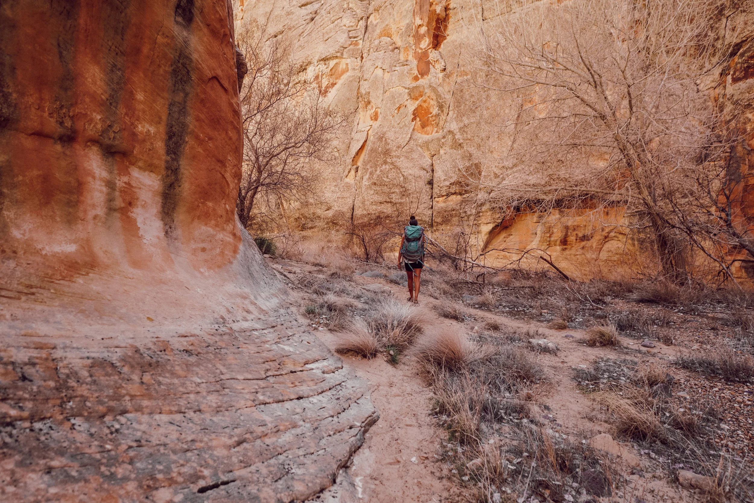 We saw 5 people total the entire 2 days. Complete solitude for the win.