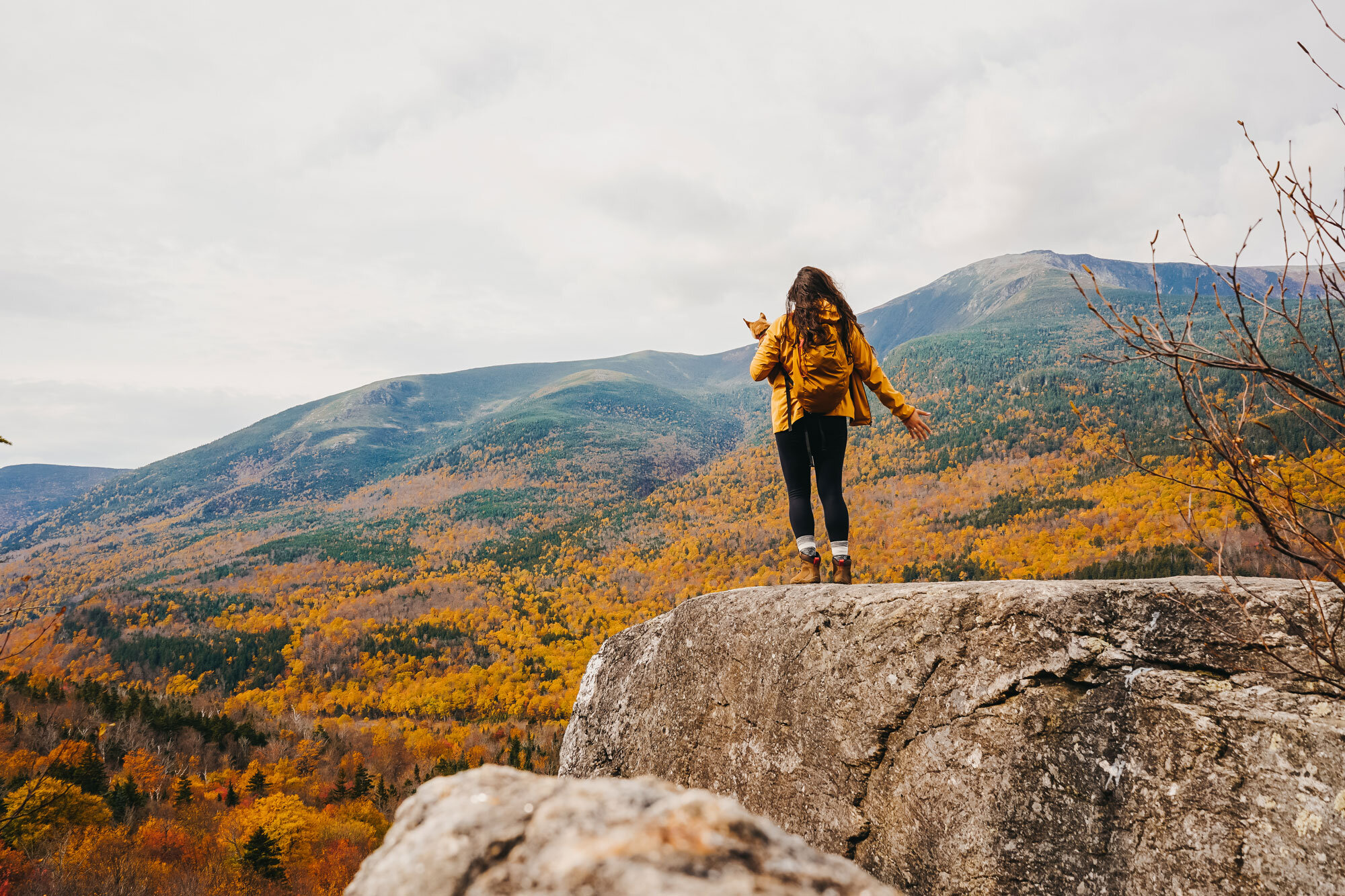 White mountain best sale day hikes
