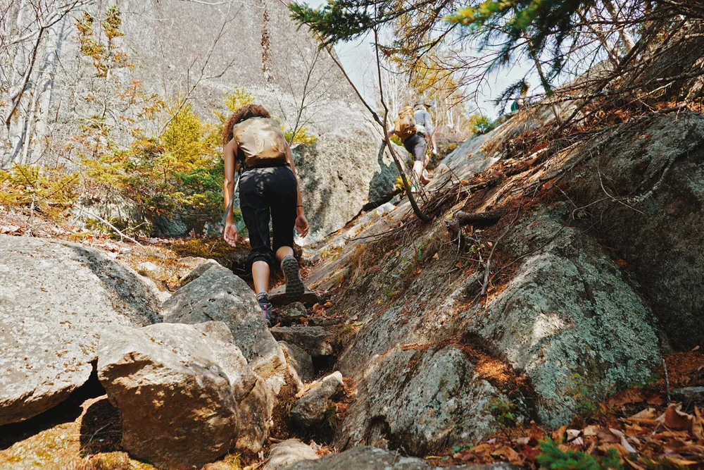 cassouki-pine-mountain-3.jpg