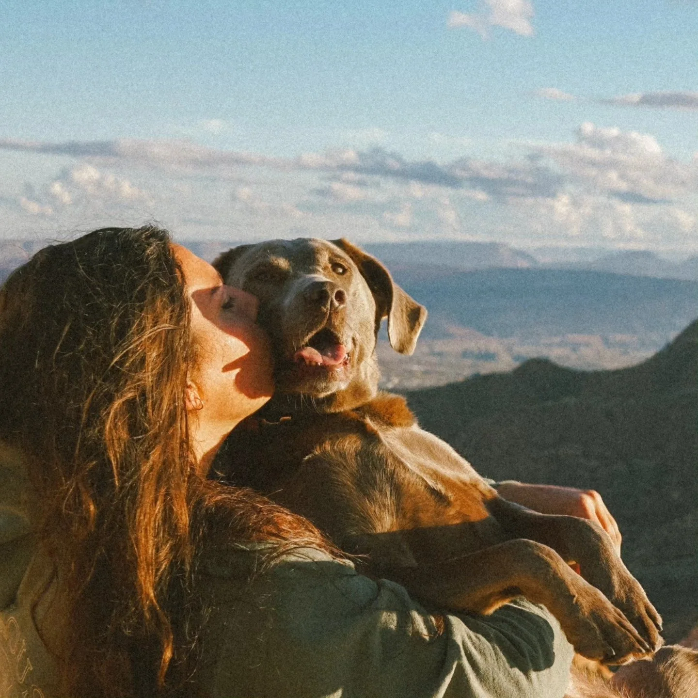 Chasing sunsets, savoring pup kisses, and embracing the freedom of the open road. Road trip update: ive been exploring southern utah with my brother, sister, their partners, and the cutest pup 🐾 pack.

📍silver reef, utah

#roadtrip #utah #silverree