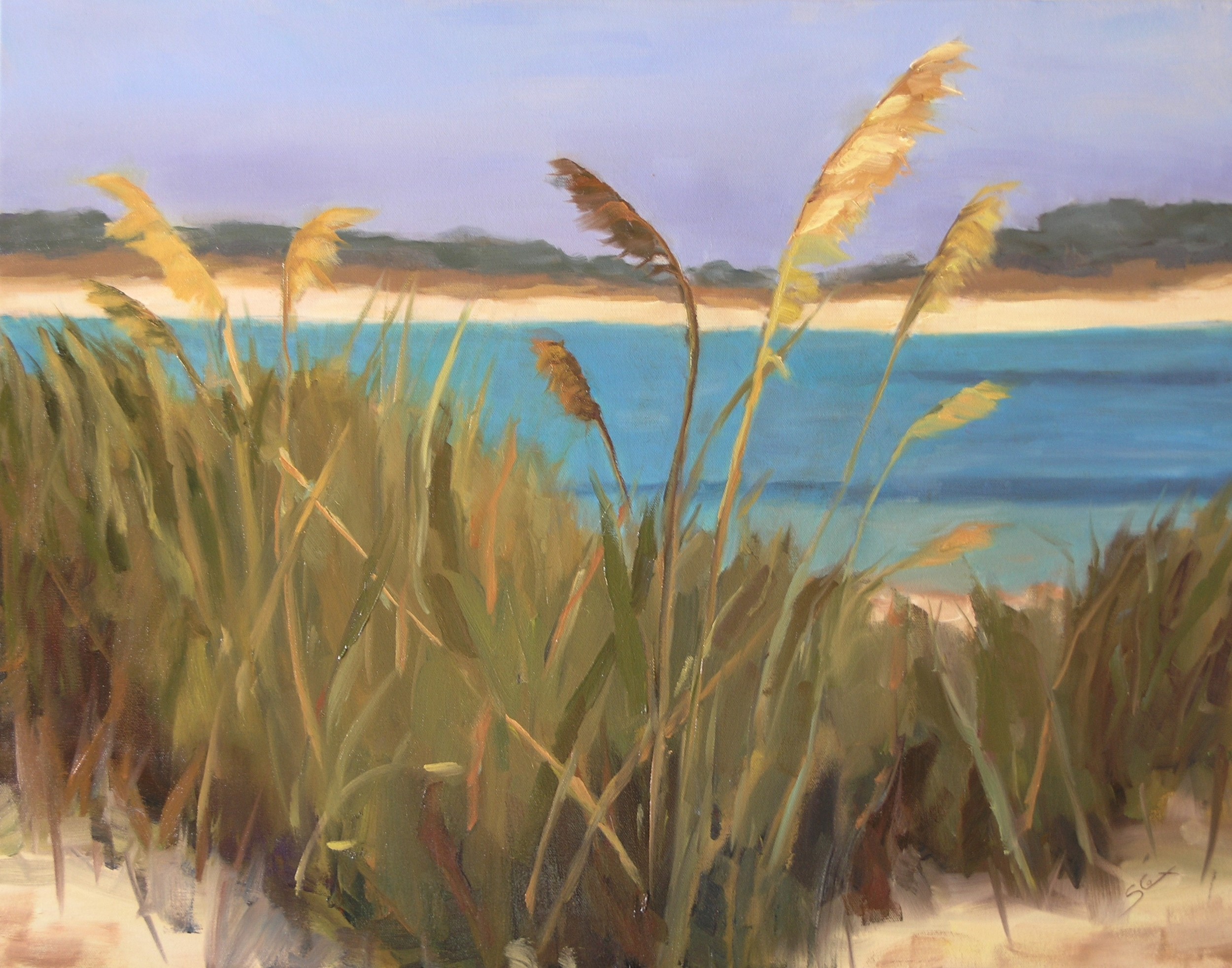 Sea Oats.JPG