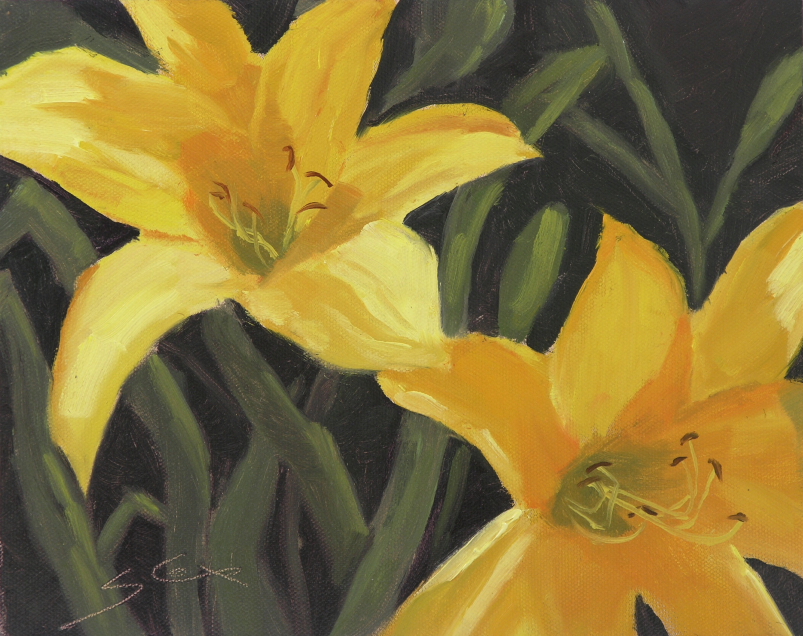 Daylilies Up Close 1.JPG