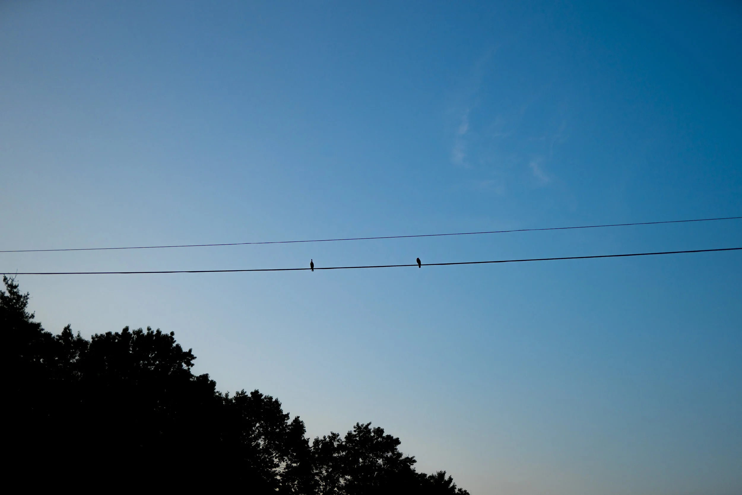 _DSC5655.jpg