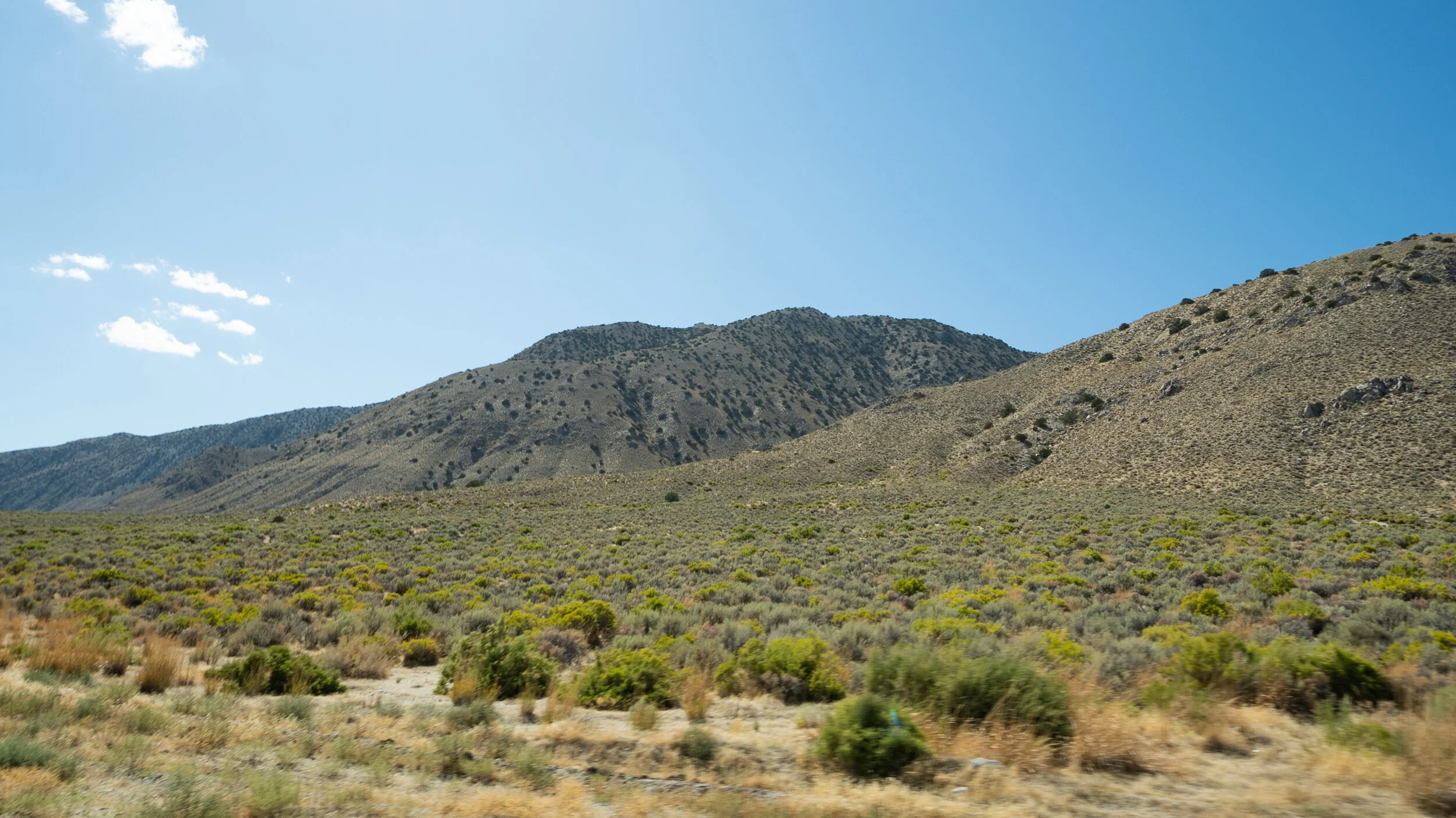 _CCC0009.jpg