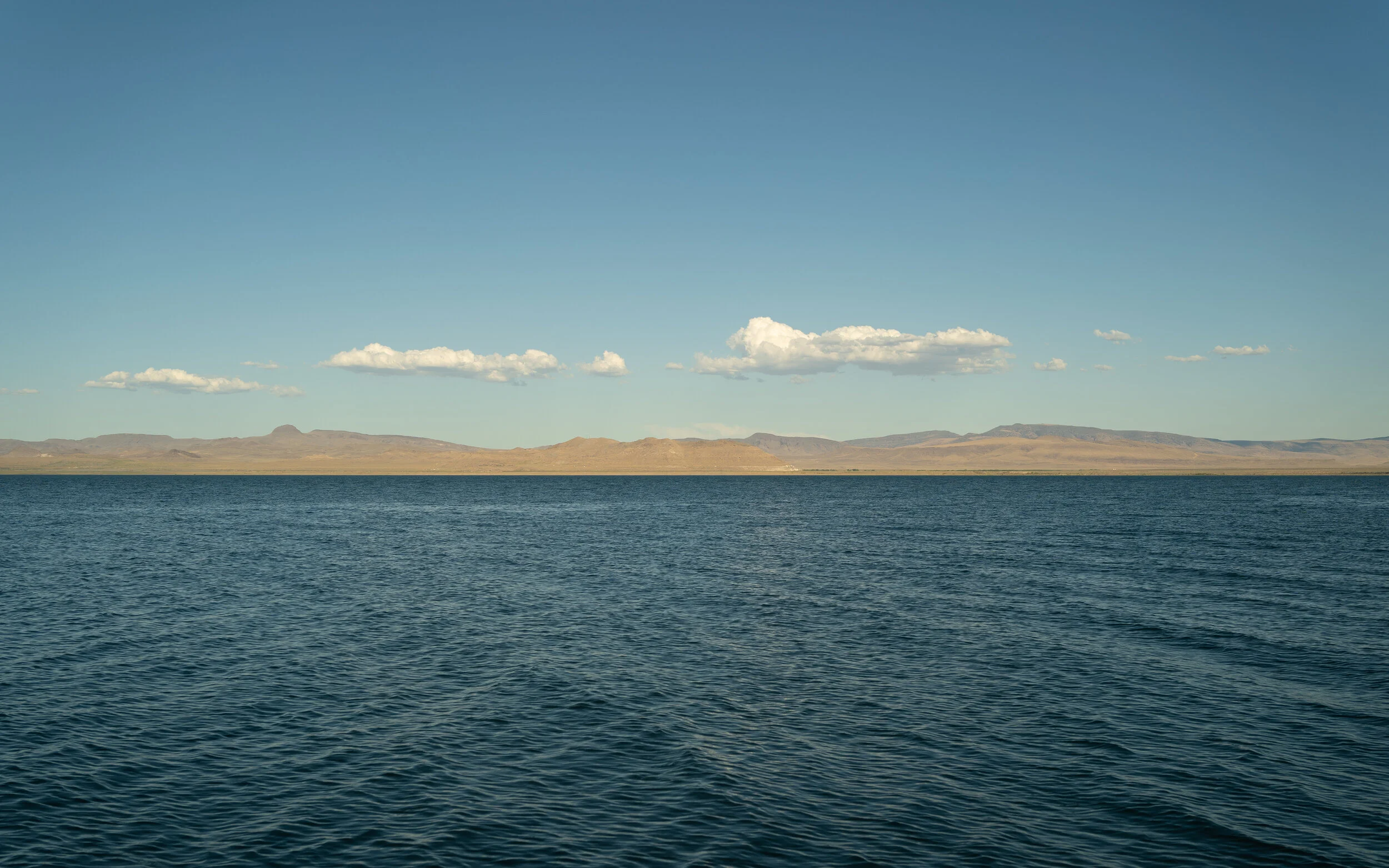 _DSC2704.jpg