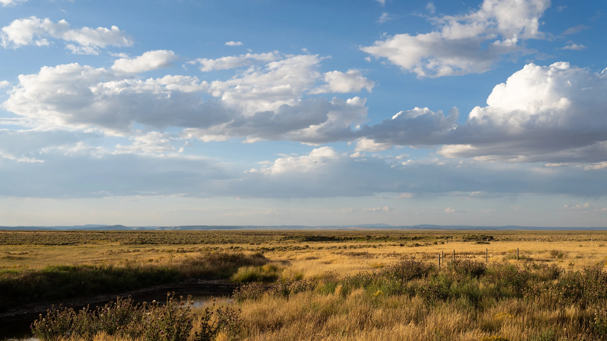 _DSC2805.jpg