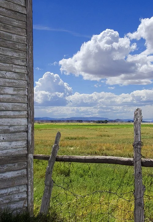 Greener Pastures.jpg