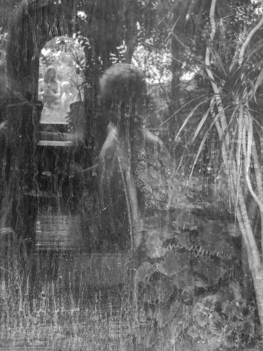 Summer Reflecting.jpg