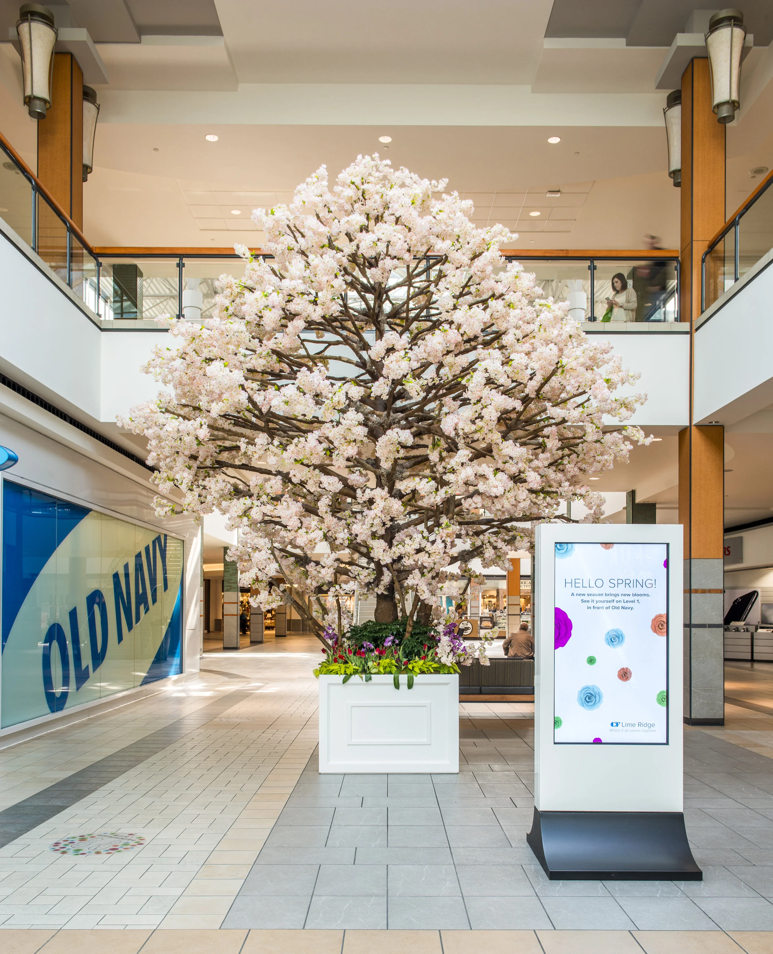 Limeridge Mall - Cherry Blossoms