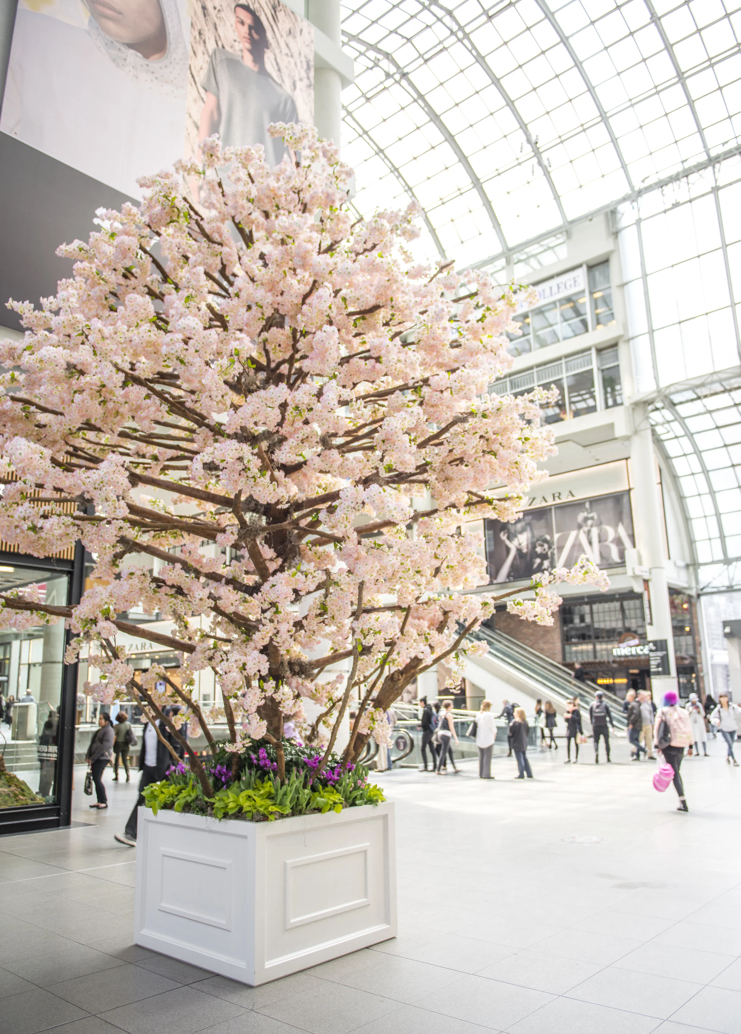 Toronto Eaton Centre - Cherry Blossoms