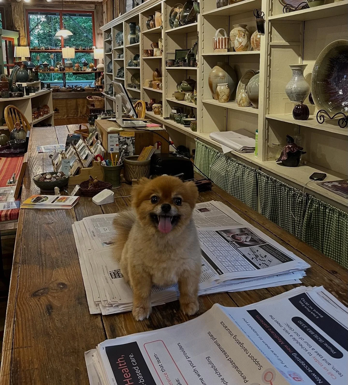 Lacey and Poppy are here to spread the word that Mud Dabbers welcomes your well-behaved furry companions!