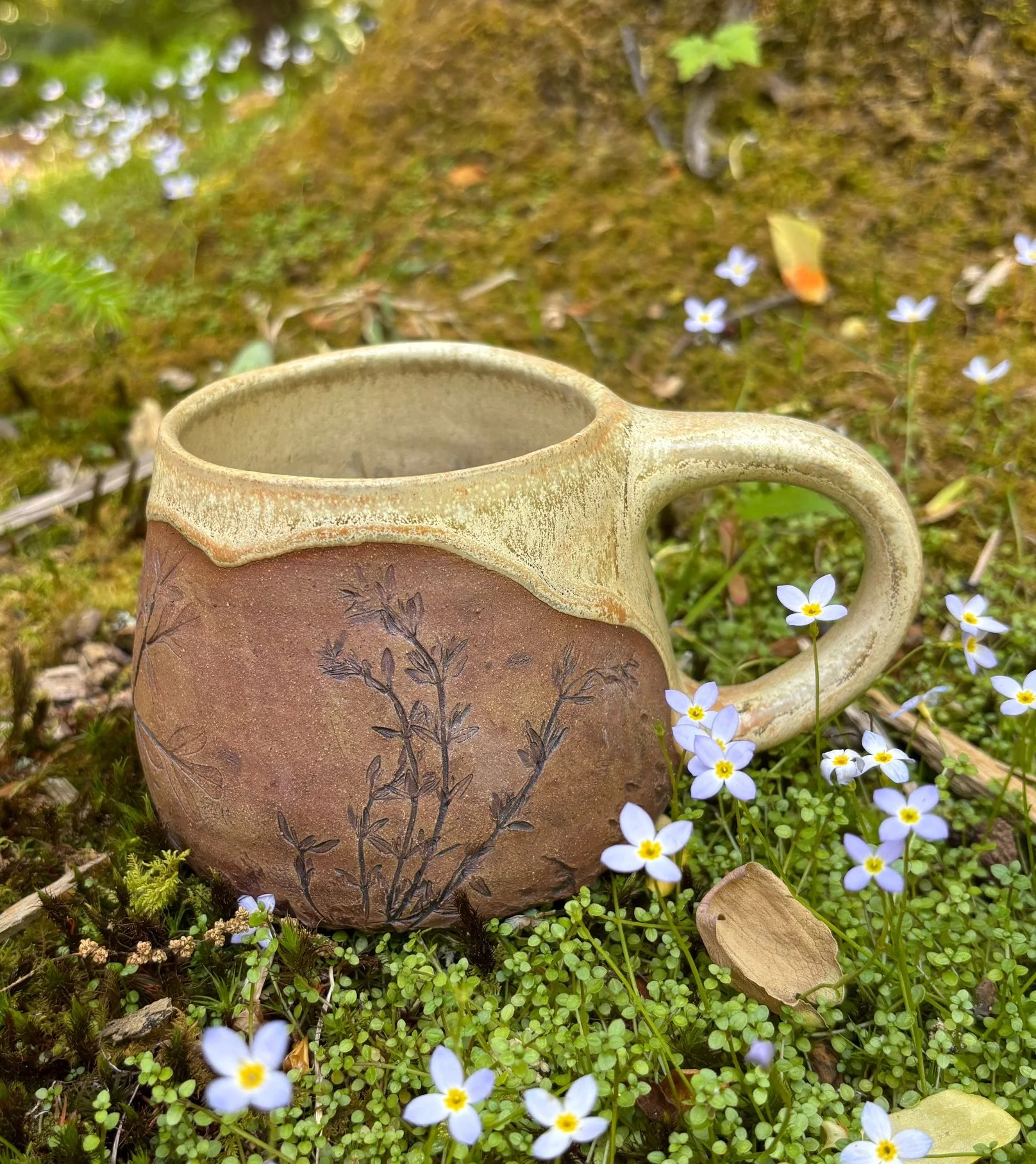 Dawn Mug.JPG