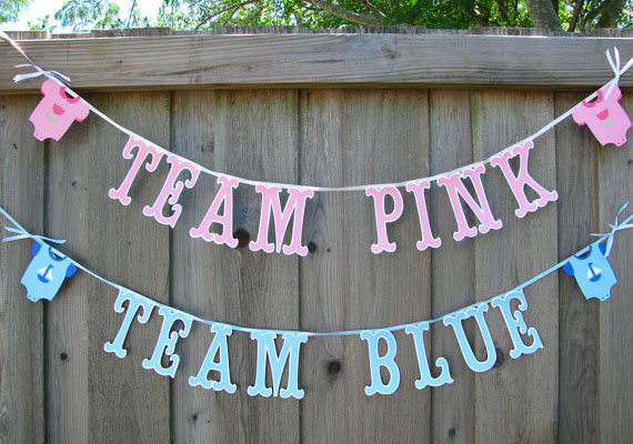 team_blue_team_pink_etsy.jpg