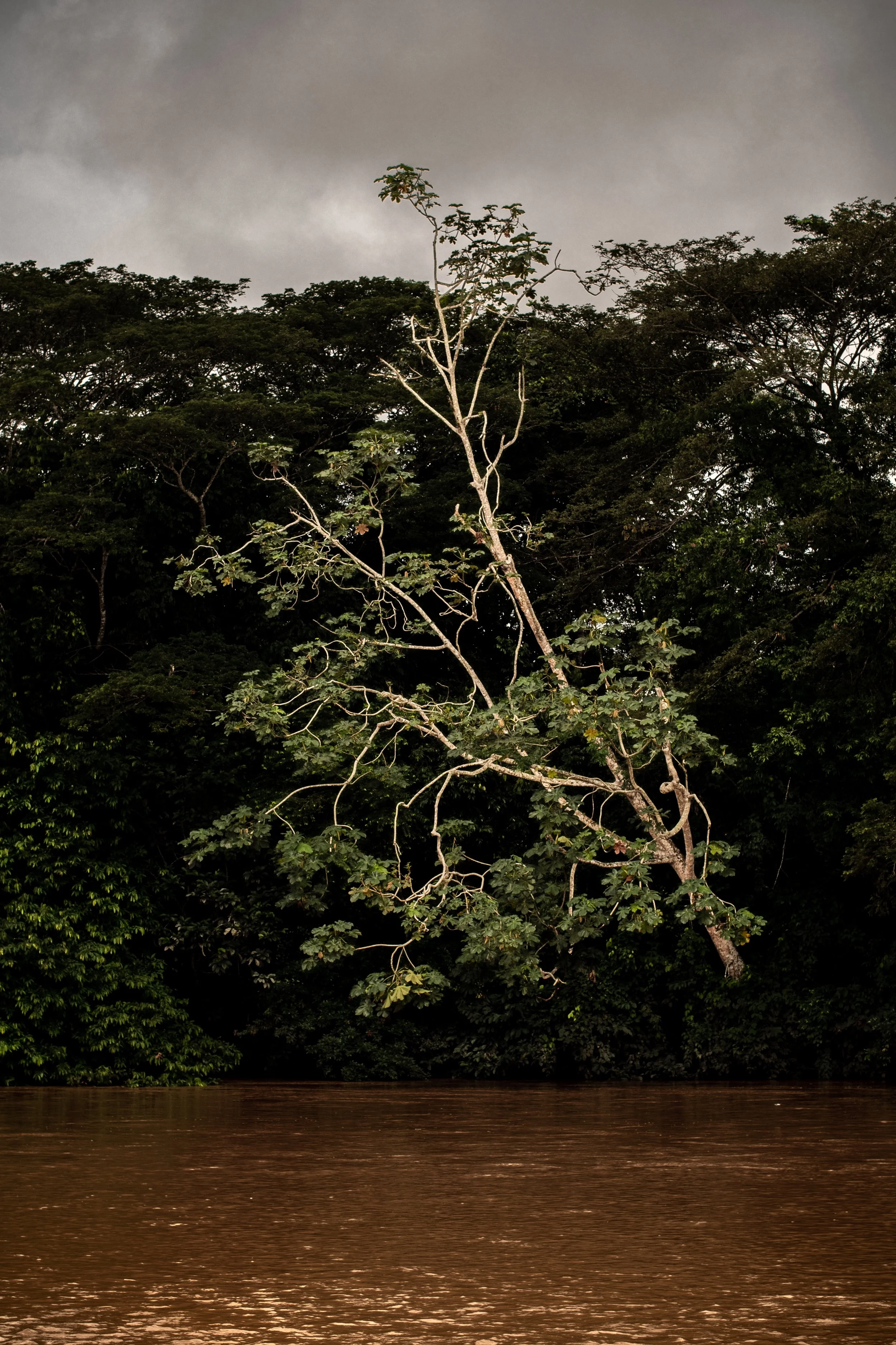 P1286659.jpg
