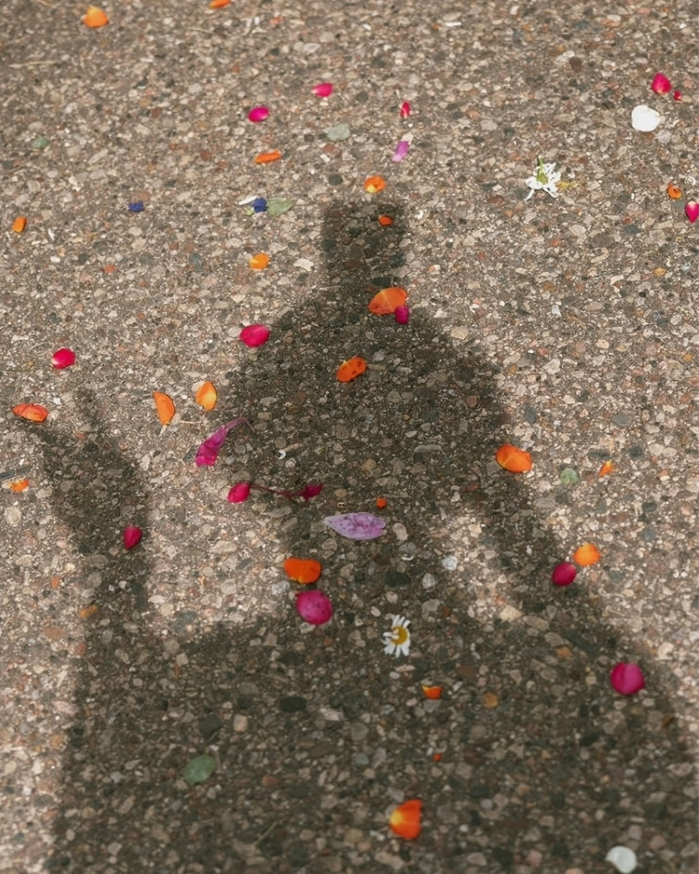 ✨️details✨️
moments of clarity
of anticipation
of calm
of joy
the moments before
the moments after
the room you got ready in
the family heirlooms 
the spot where you said I Do
the first time you touched
the aftermath 
small little reminders
synchroni