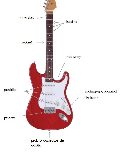Prohibir vesícula biliar Impuro Curso básico de guitarra: Anatomía de la guitarra — Clases de Guitarra  Online
