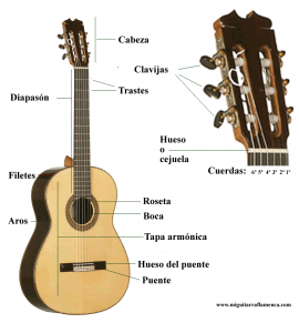 sitio Escupir imagen curso básico guitarra — 🎸Tutoriales de Guitarra 🎸 — Clases de Guitarra  Online
