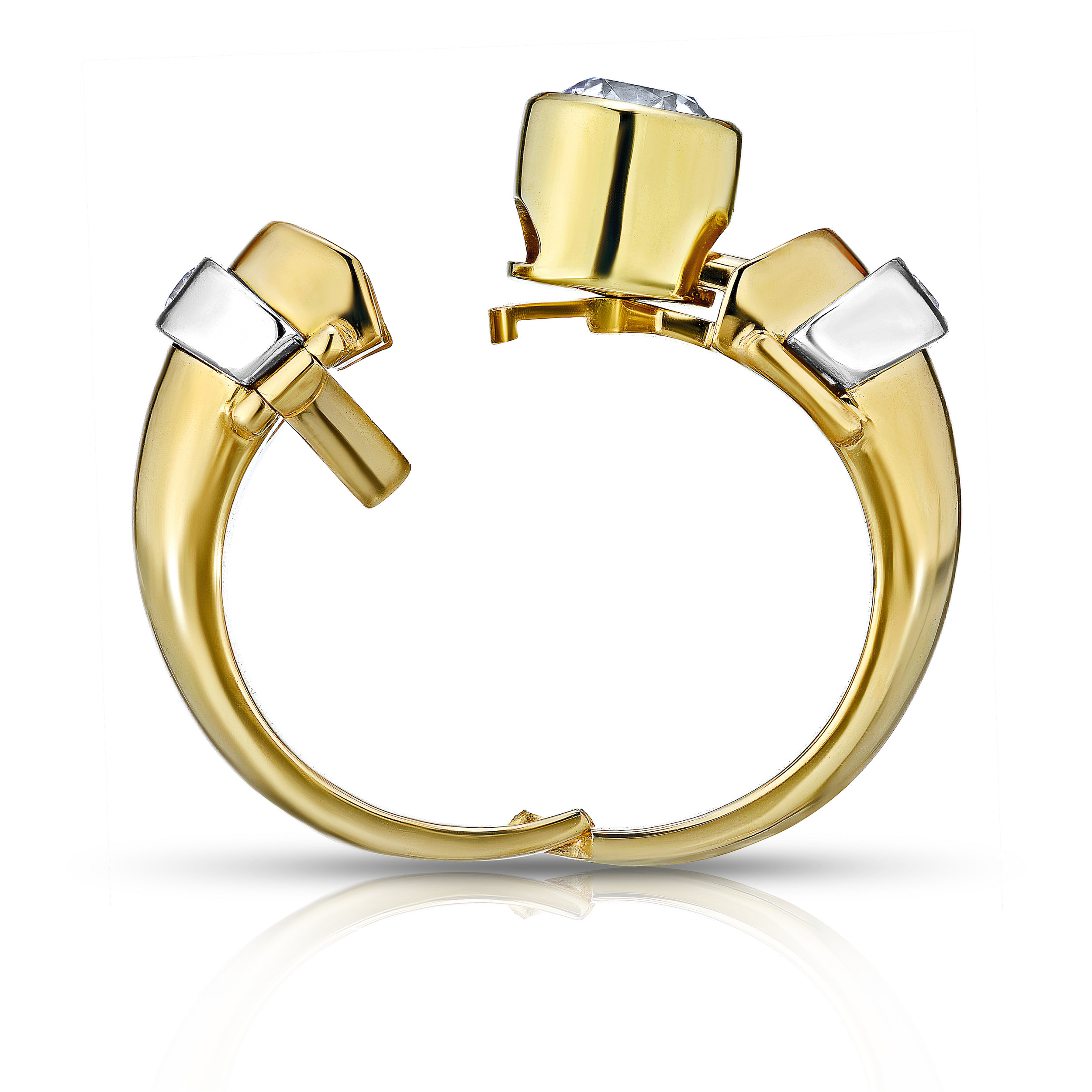 Ring-2.jpg