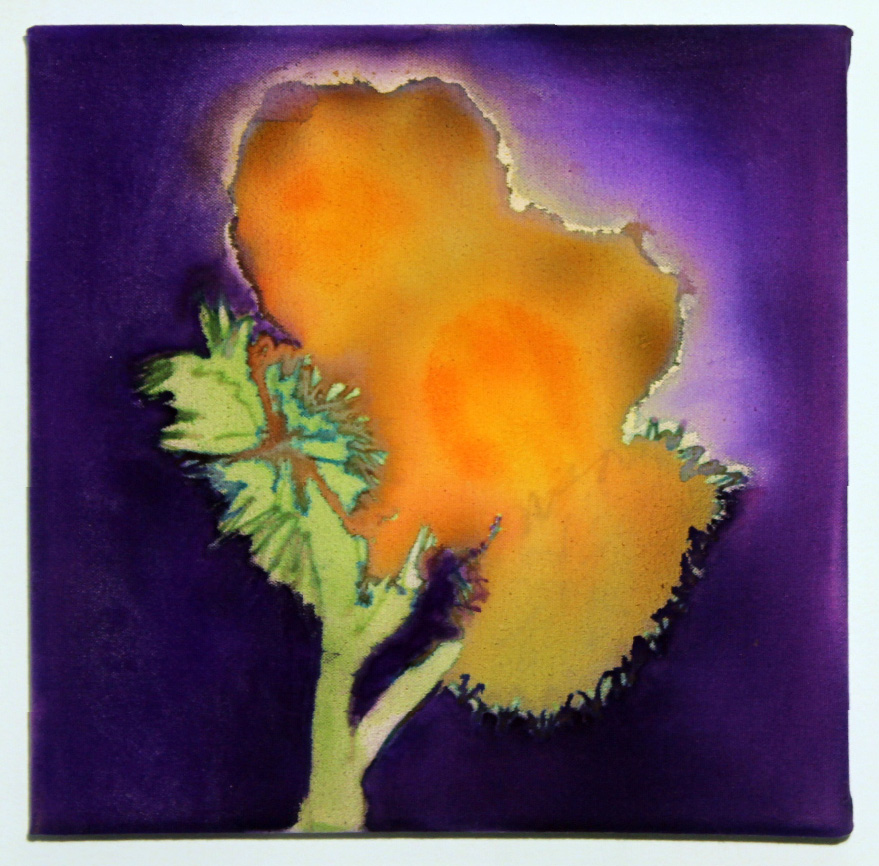 Glo Flower