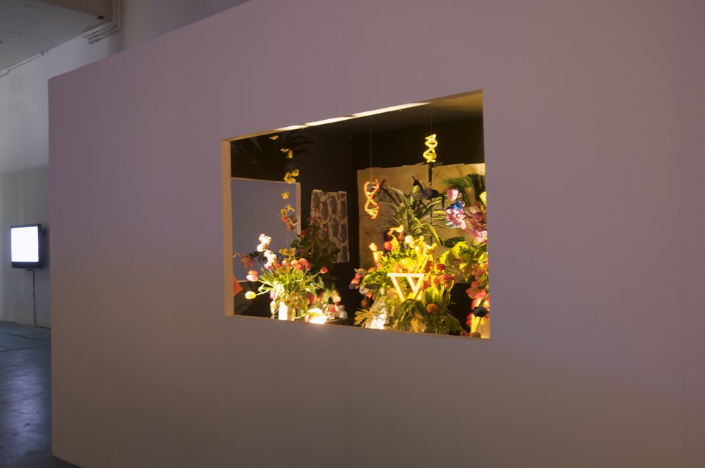 04.jpg