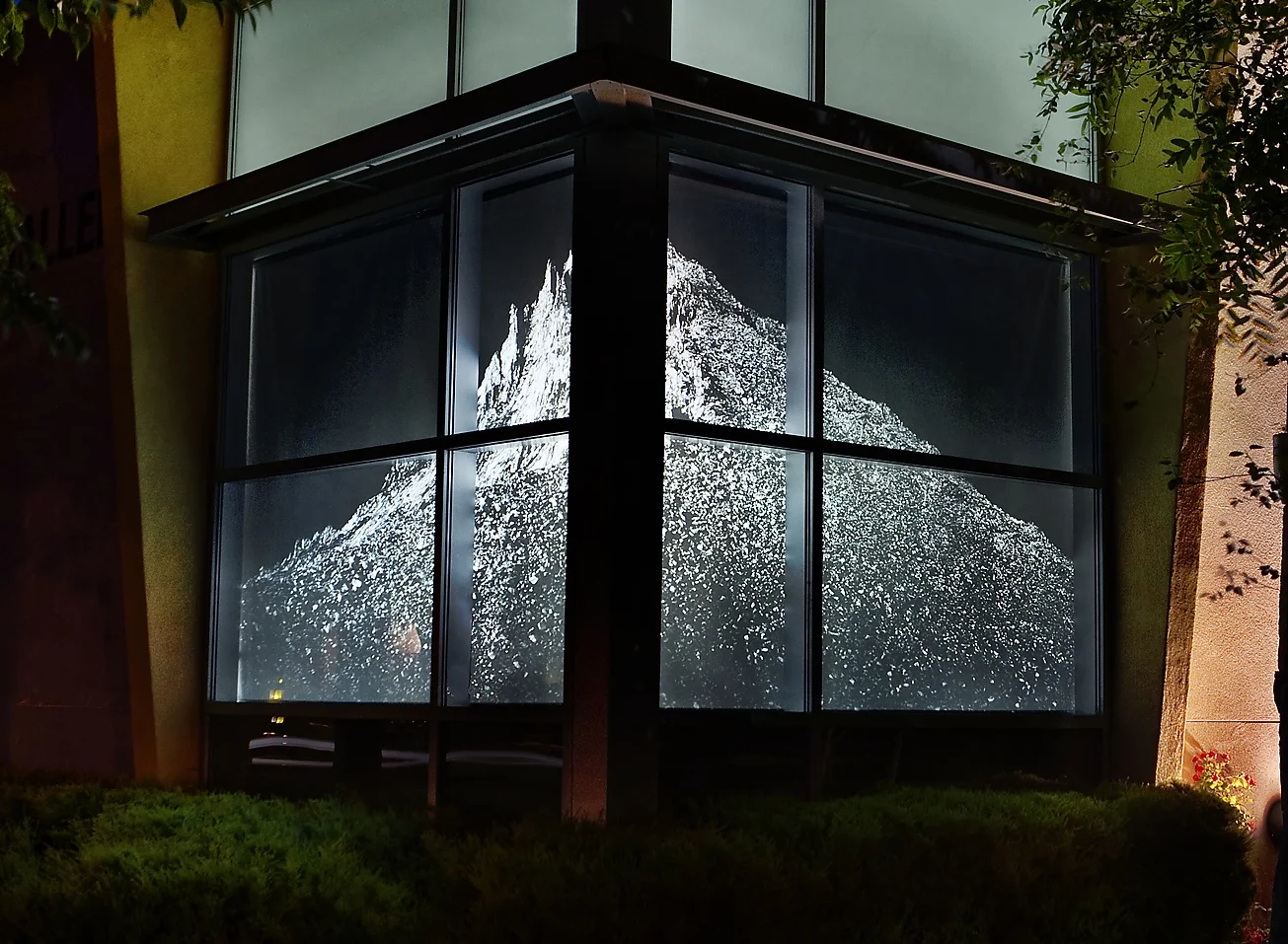 blackout-printed-window-shade.jpg