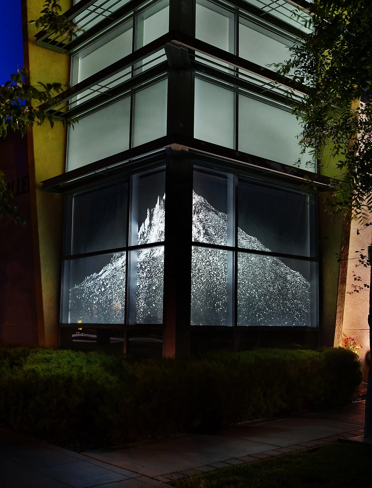 backlit-custom-printed-window-shade-storefront.jpg