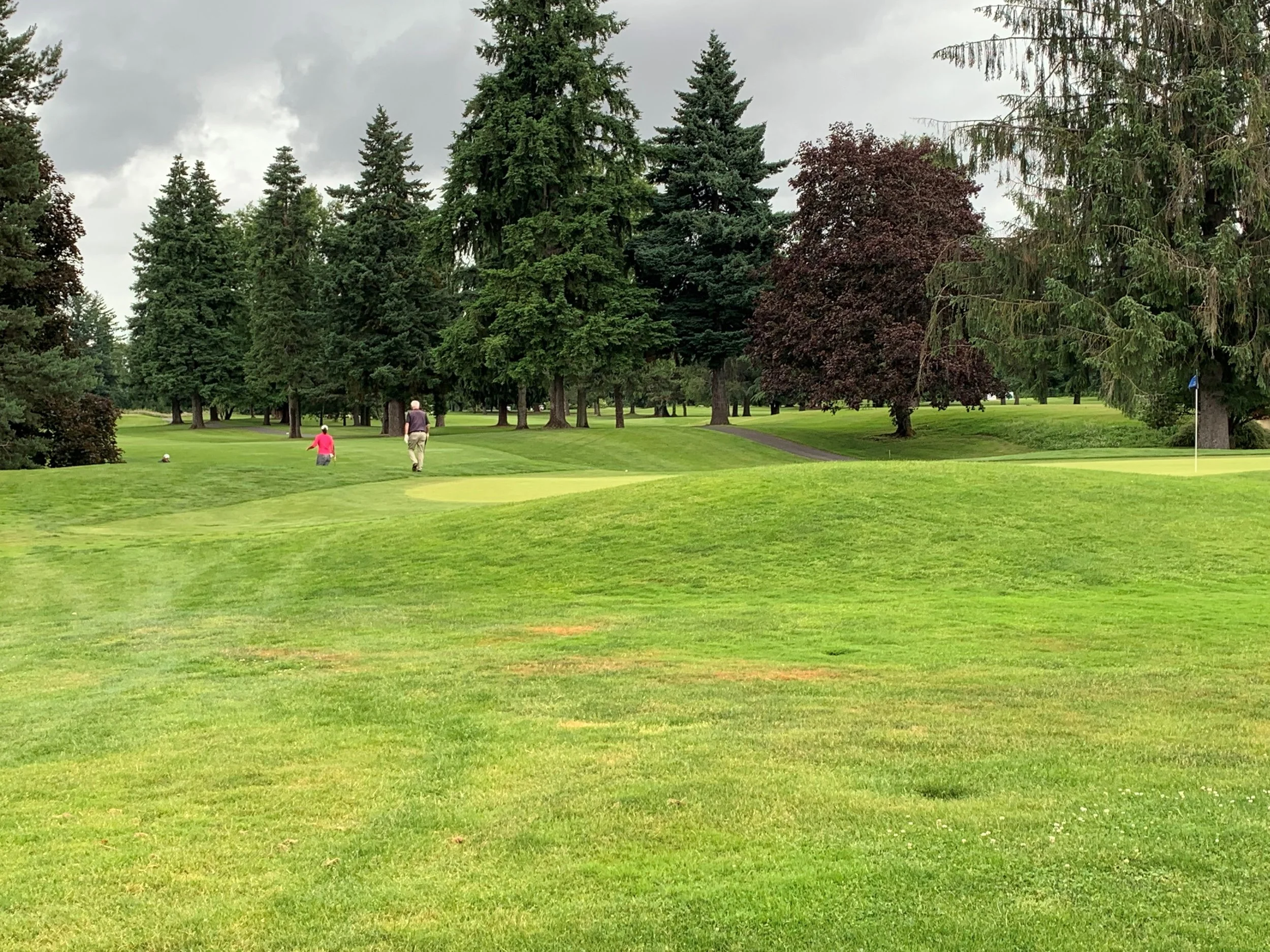 Golf3.jpg