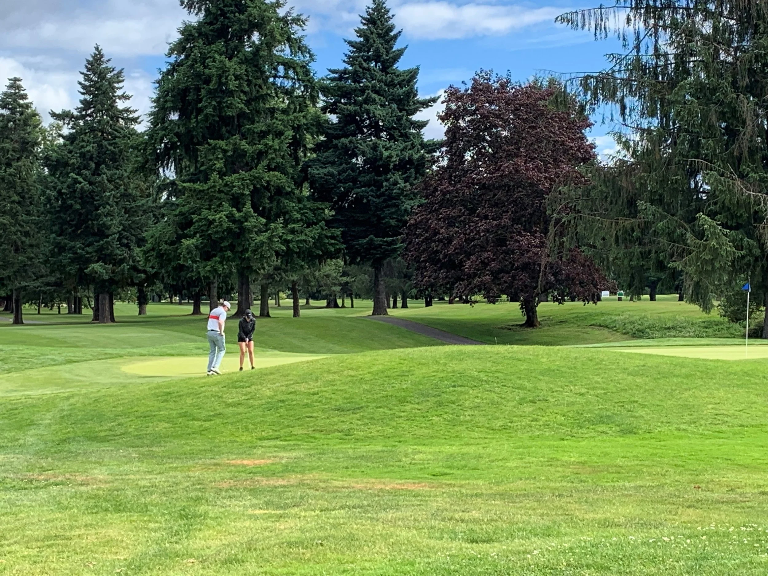 Golf9.jpg