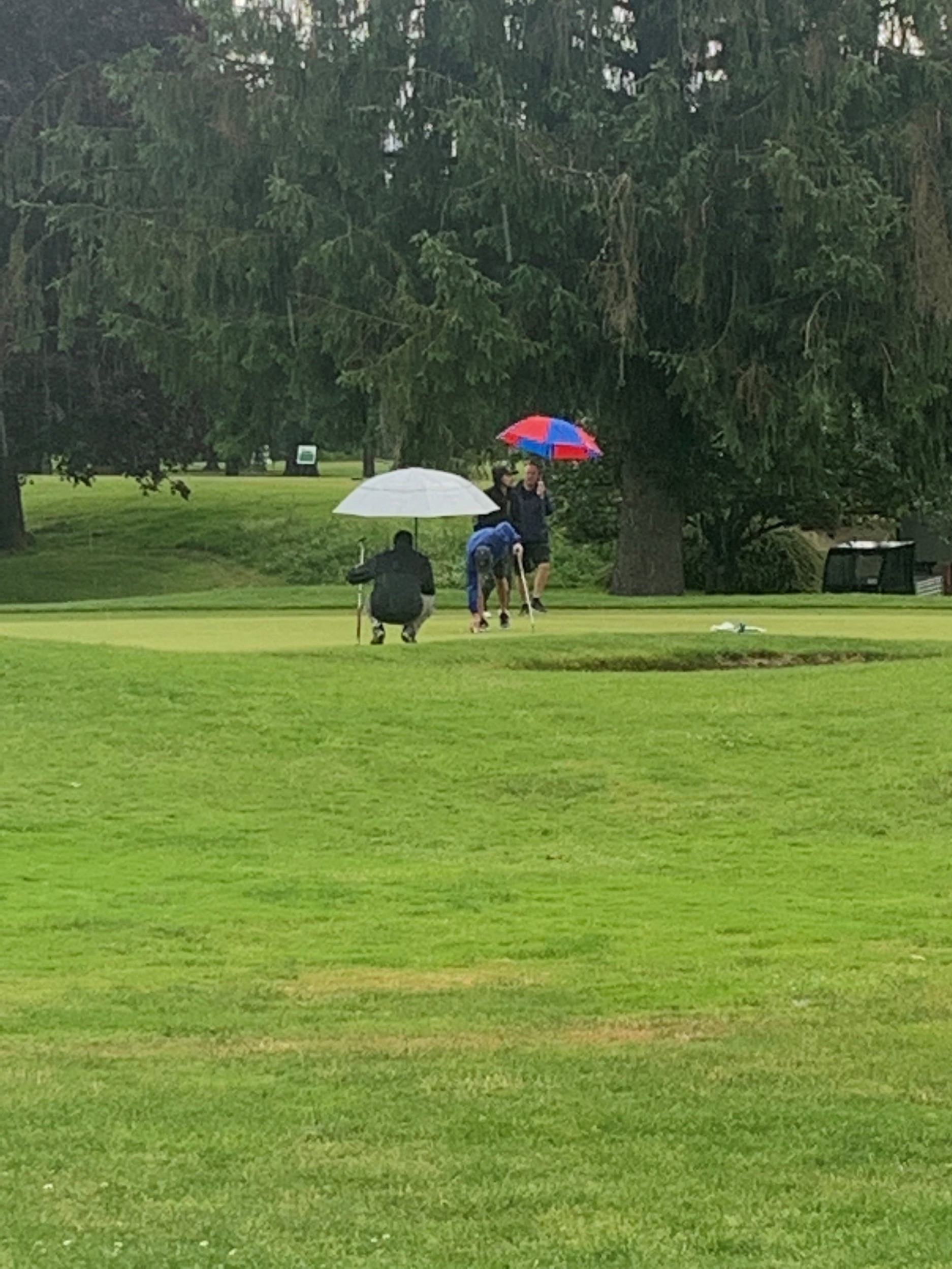 Golf31.jpg