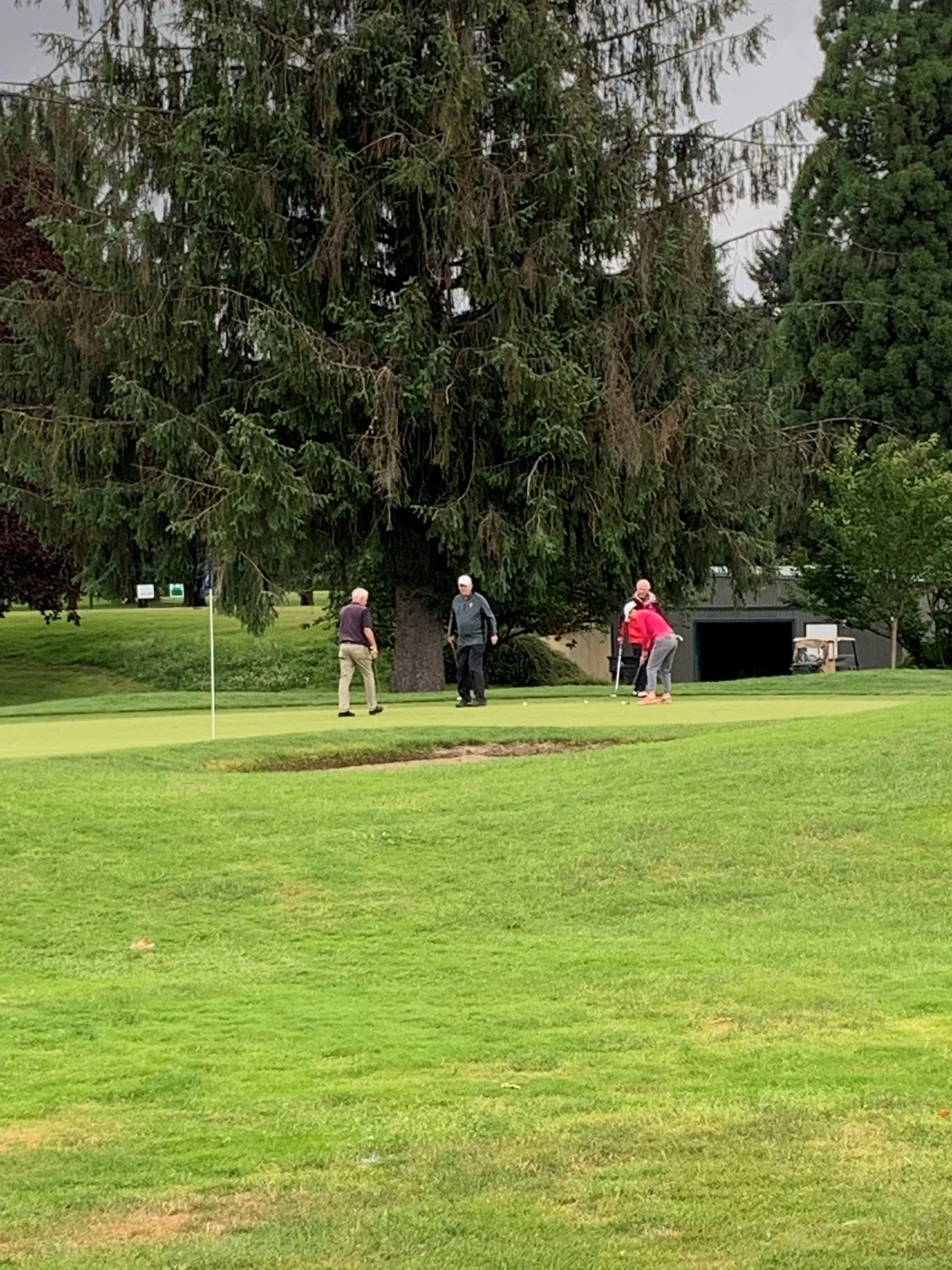 Golf36.jpg