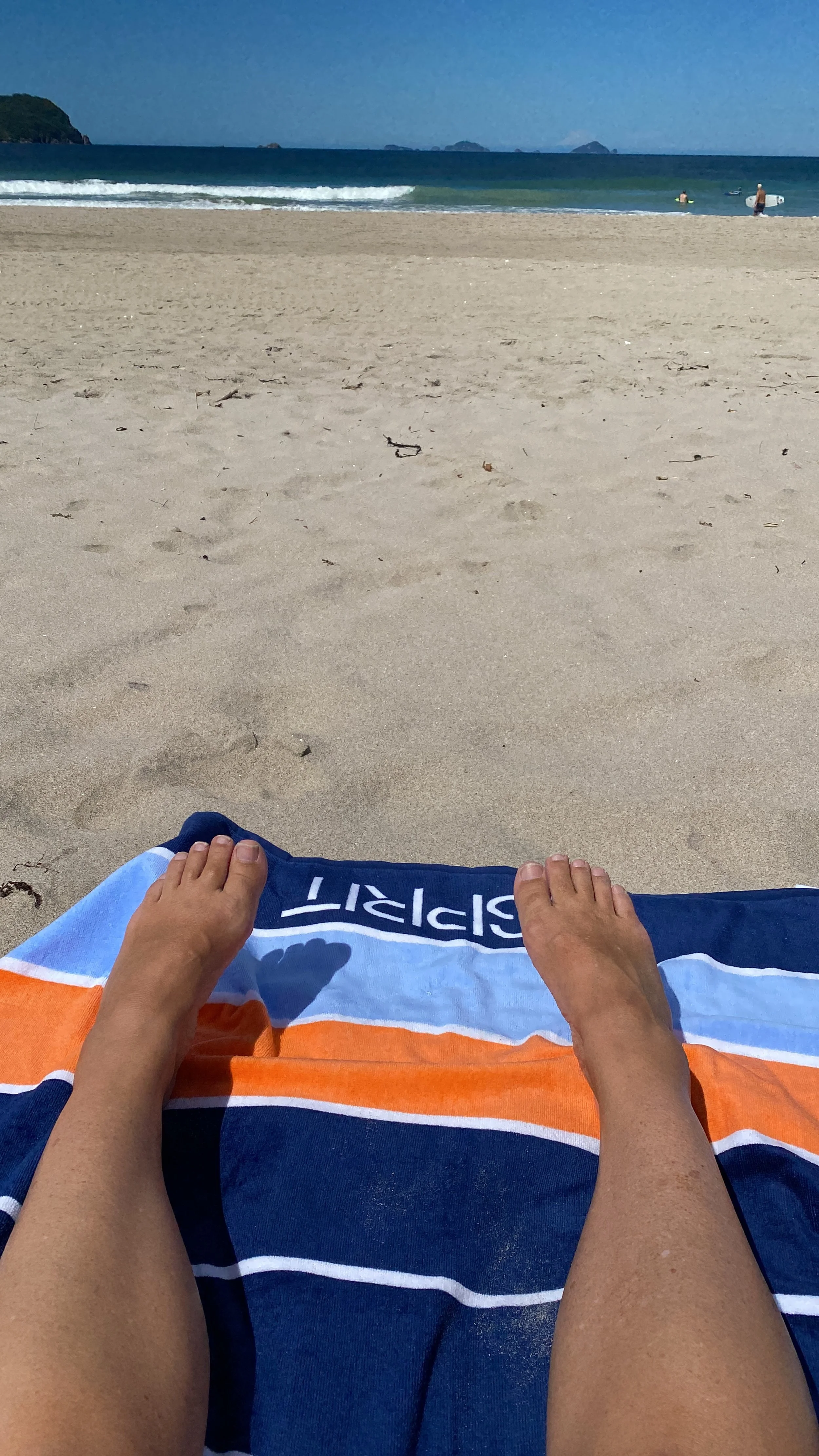 January Procrastination...