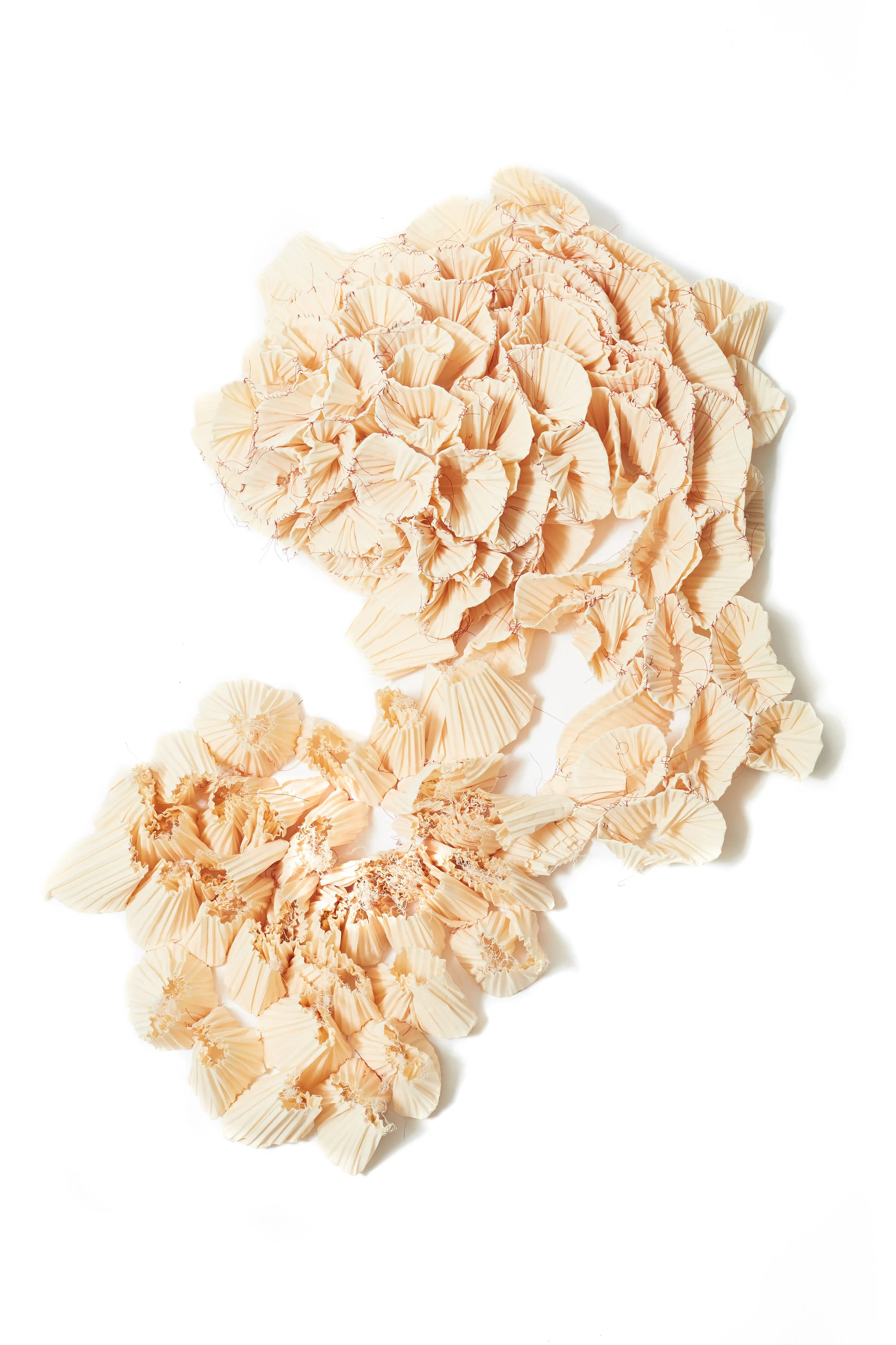 Fibers00002.jpg