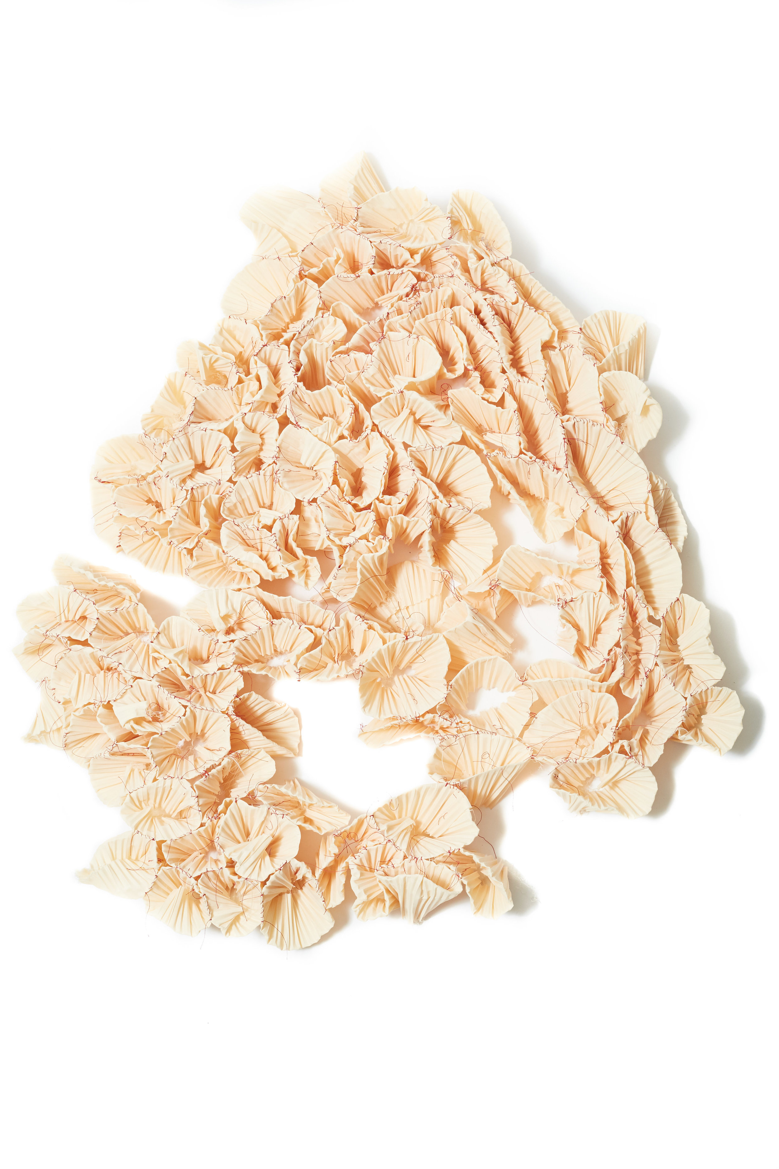 Fibers00001.jpg