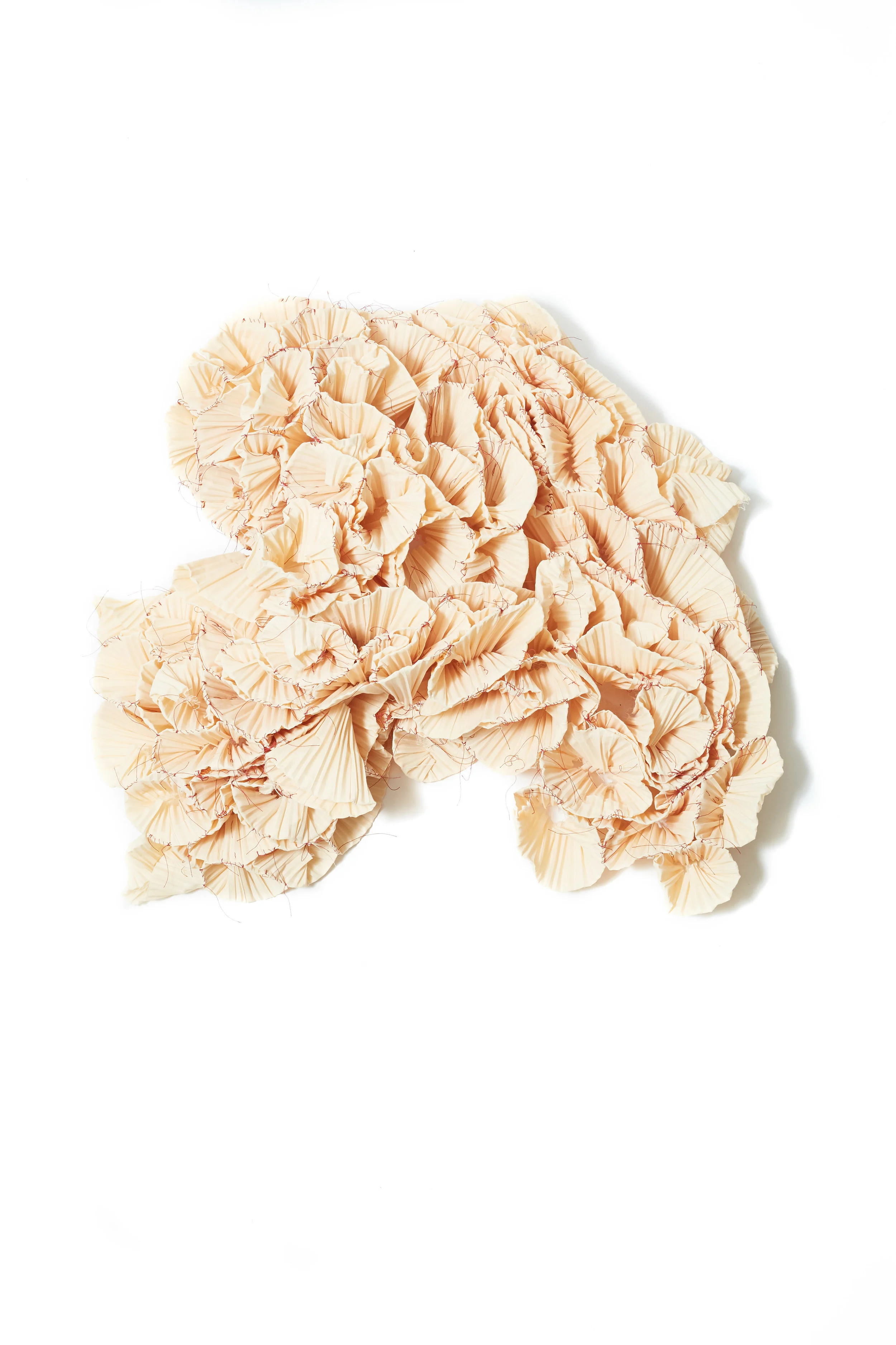 Fibers00003.jpg
