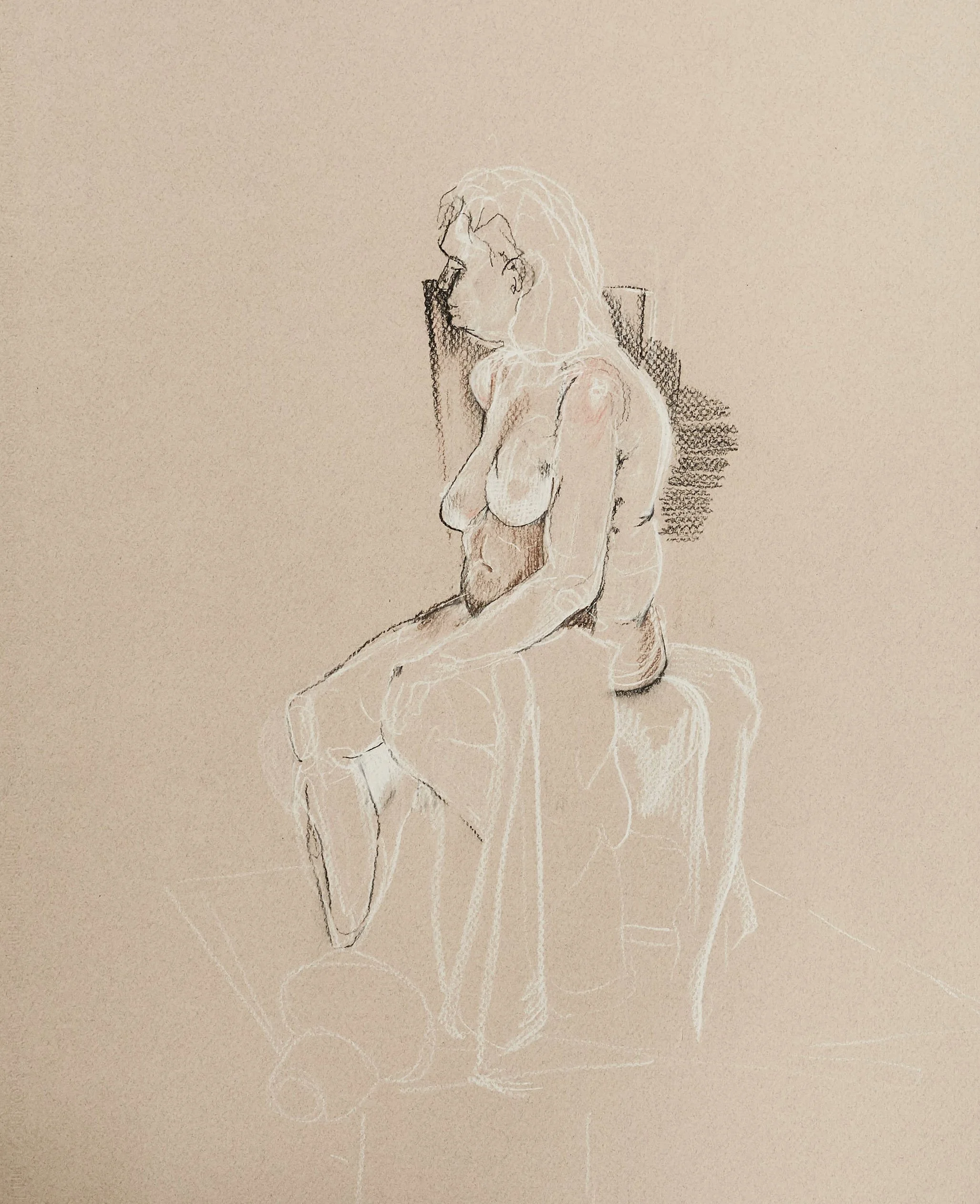 figuredrawingcropped4.jpg