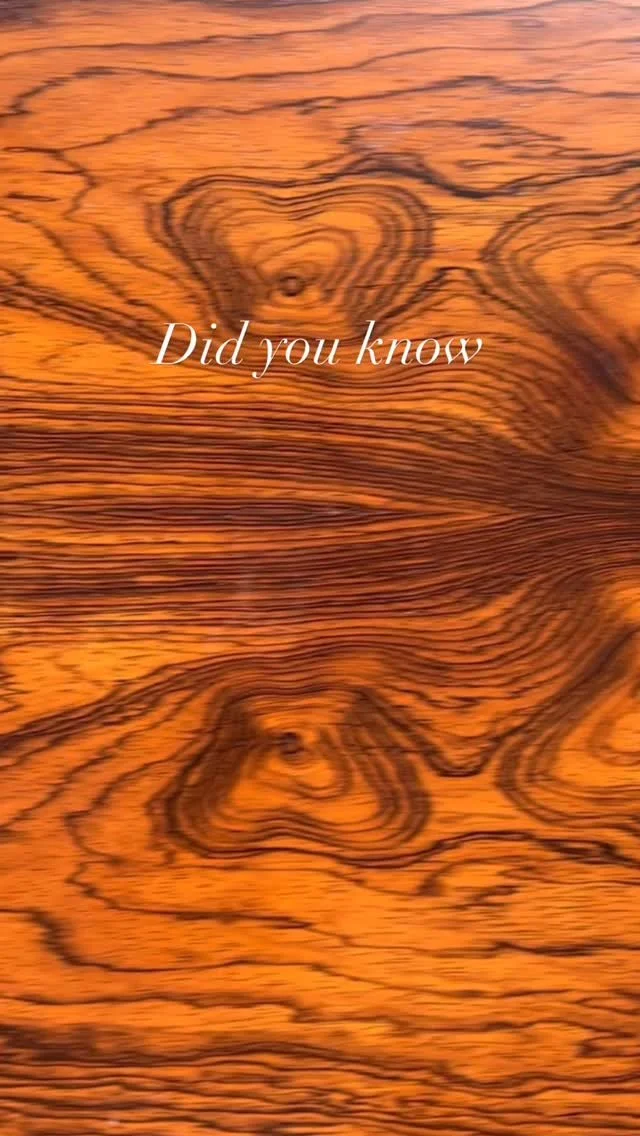 Any rosewood furniture in the world already exists. It’s a beautiful and rare species of wood.
🌹 🪵 ❤️
#Asburypark #asburyparknj #greetingsfromasburypark #fluxmodern #design #nyc #jerseycity #midcentury #moderndesign #midcenturymodern #vin
