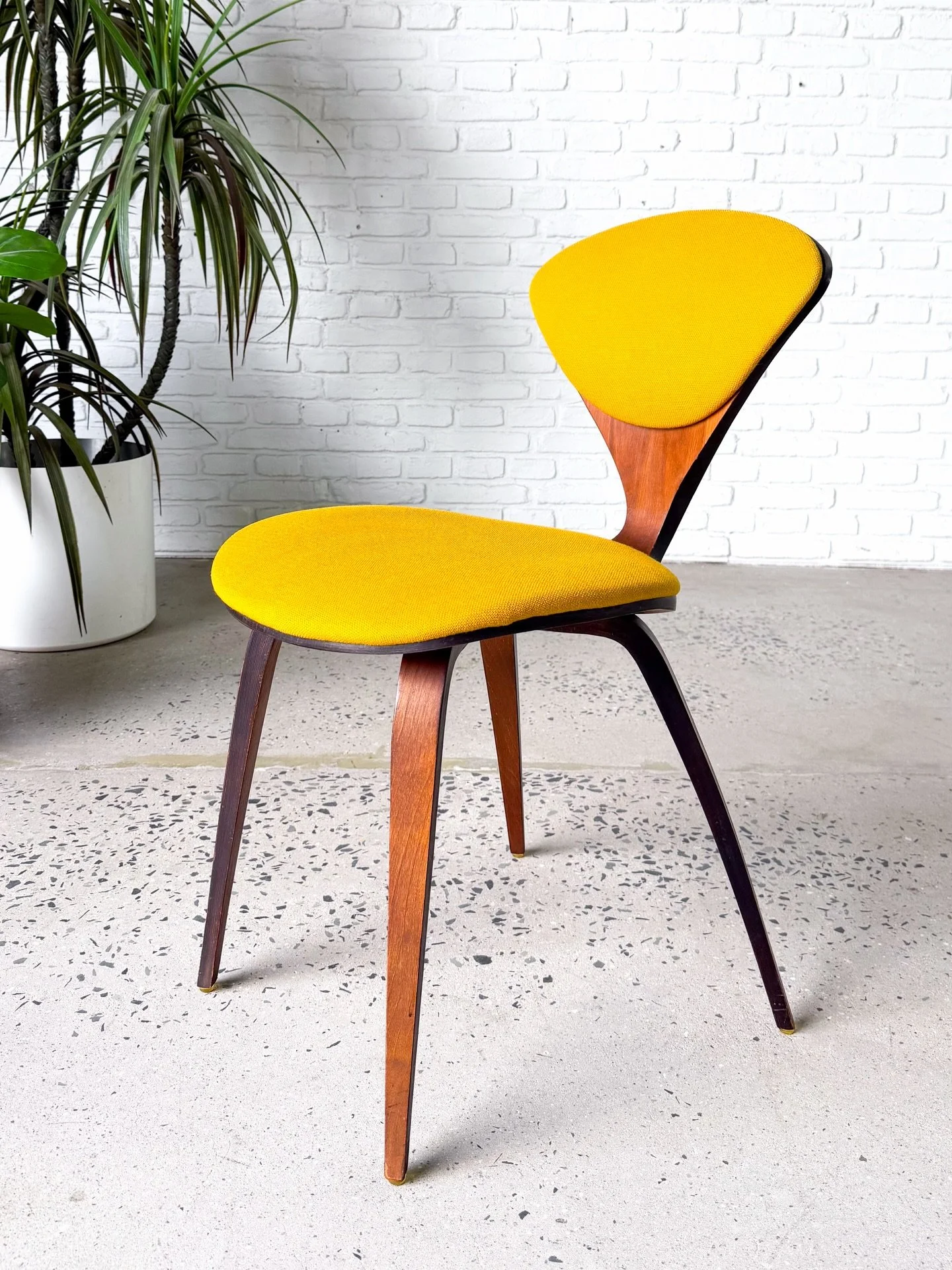 I&rsquo;m bringing sexy back&hellip; and front&hellip; and side&hellip;

Ok this thing is sexy from all angles Justin. 

Plycraft bentwood chair by Norman Cherner from the 1960s. Bright yellow original fabric, and original walnut frame in great condi