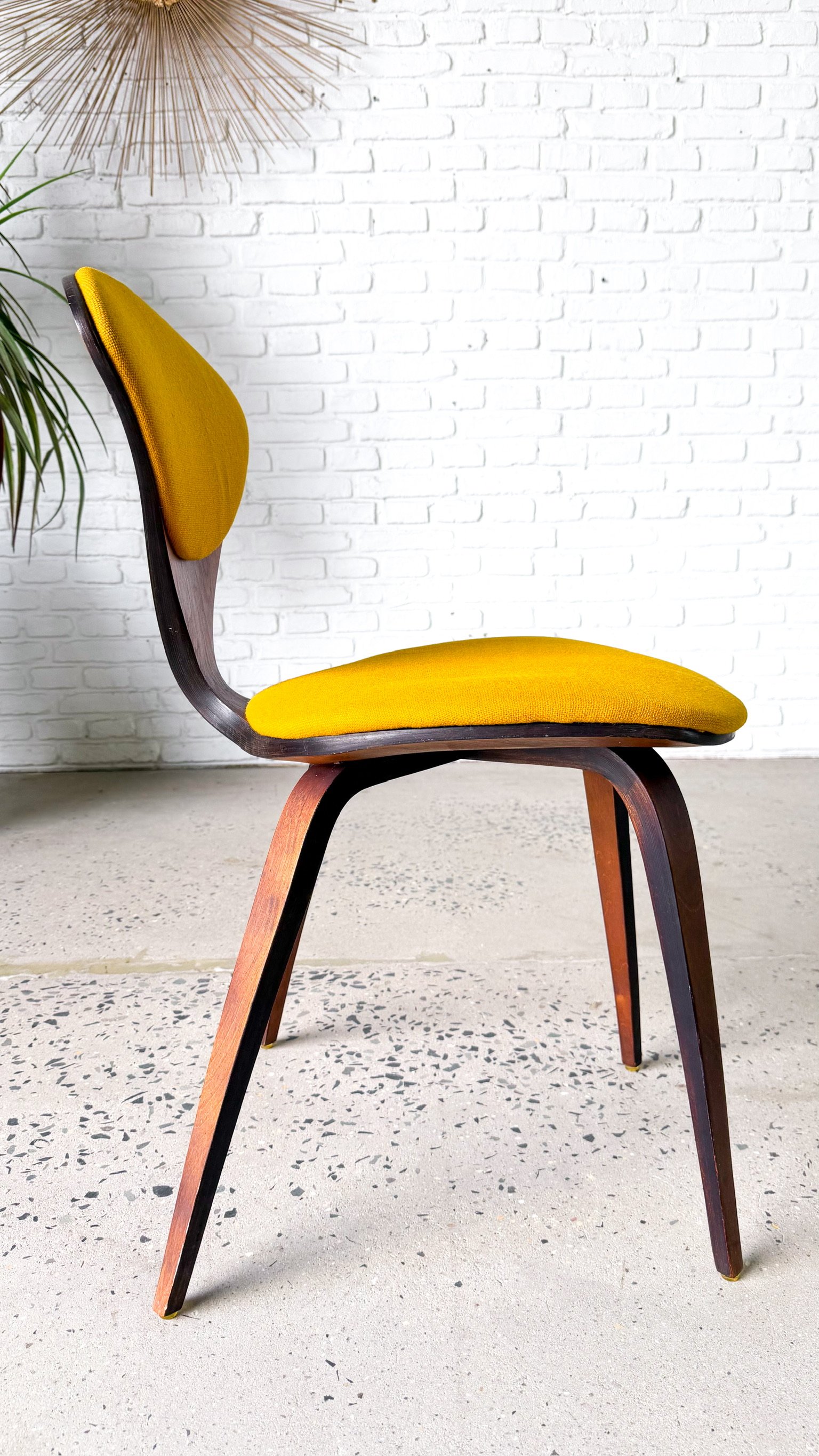 Plycraft Cherner Bentwood Chair6.jpg