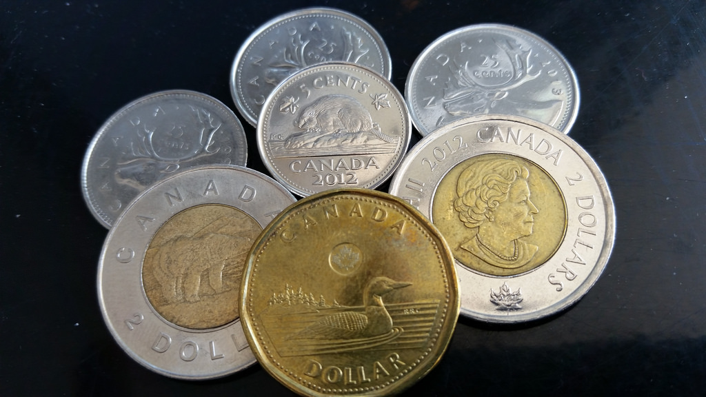 Loonie, Toonies, and even some quarters and a nickel. Pocket change is a Canadian zoo. 