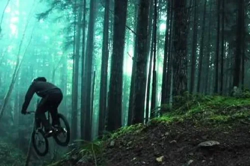 biking.jpg