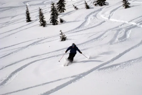 skiing.jpg