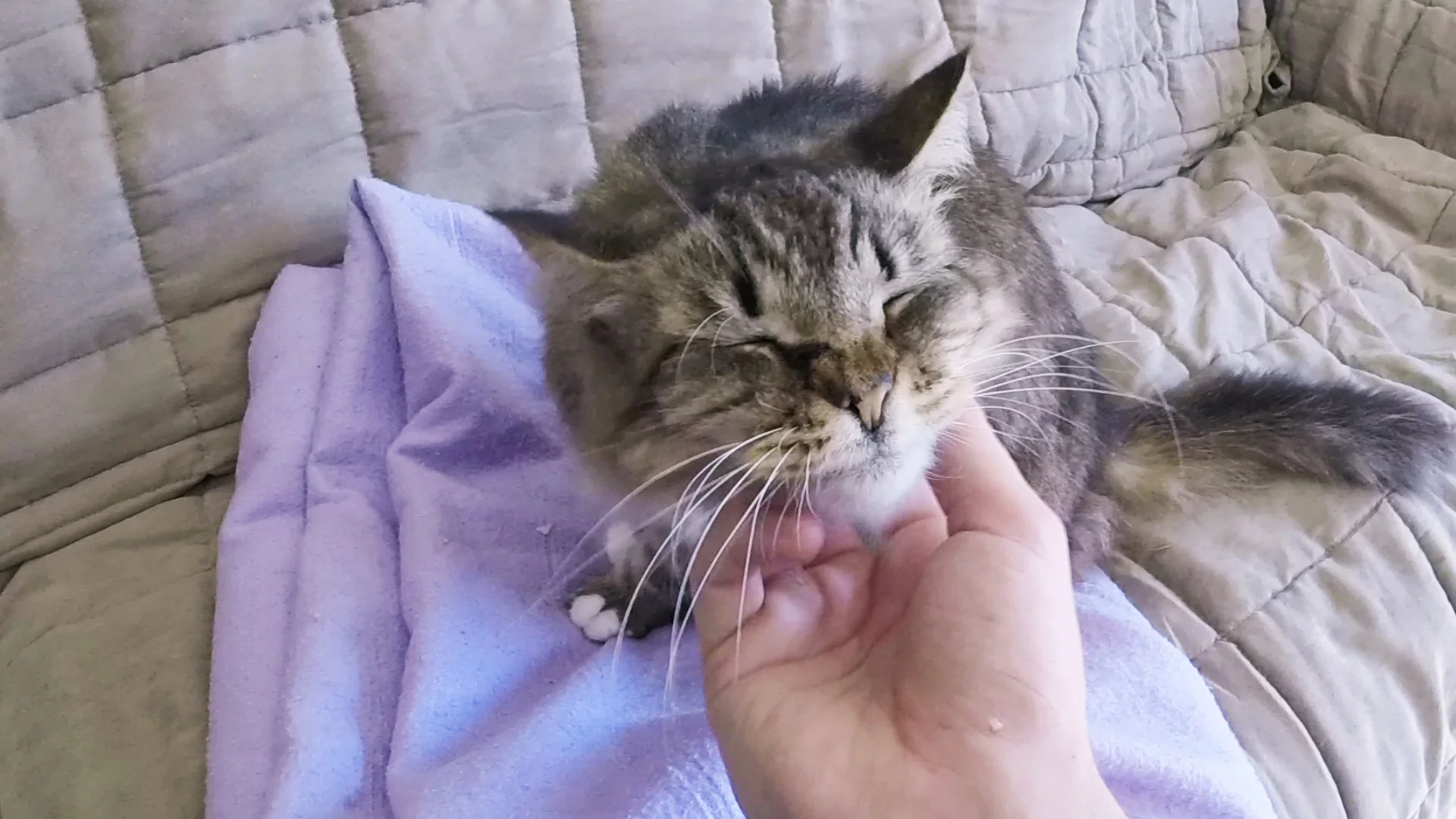 Cattywompus