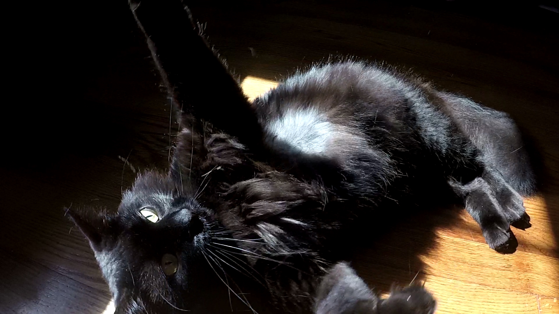 Luna