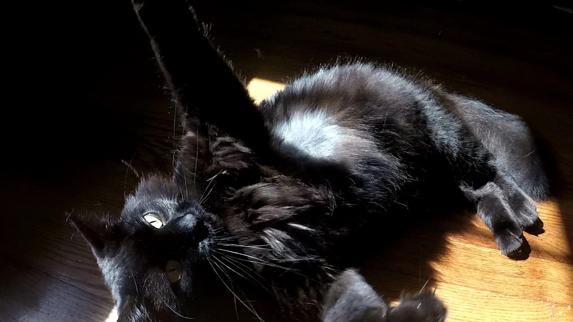 Luna