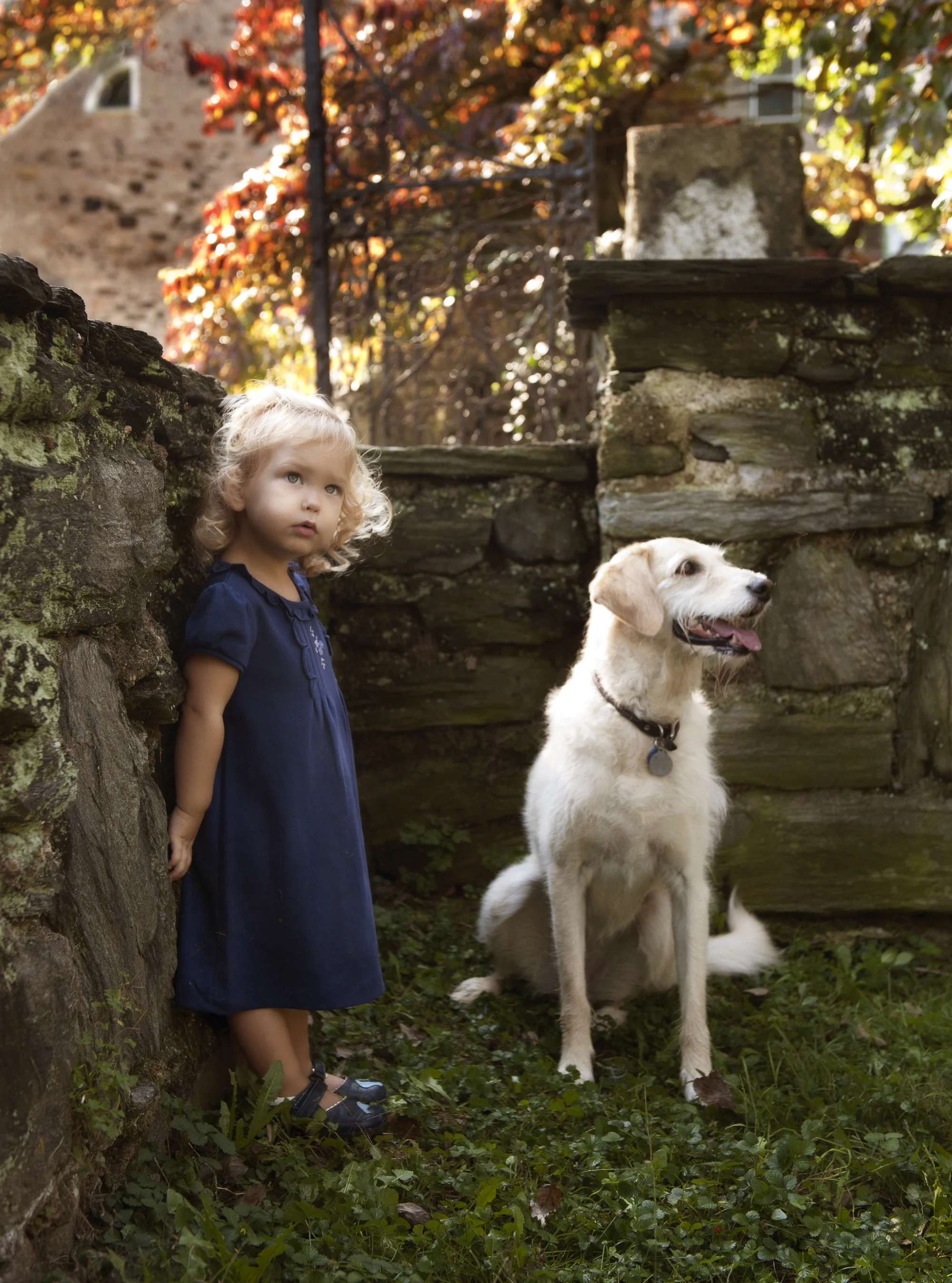girl & pup 6447.jpg