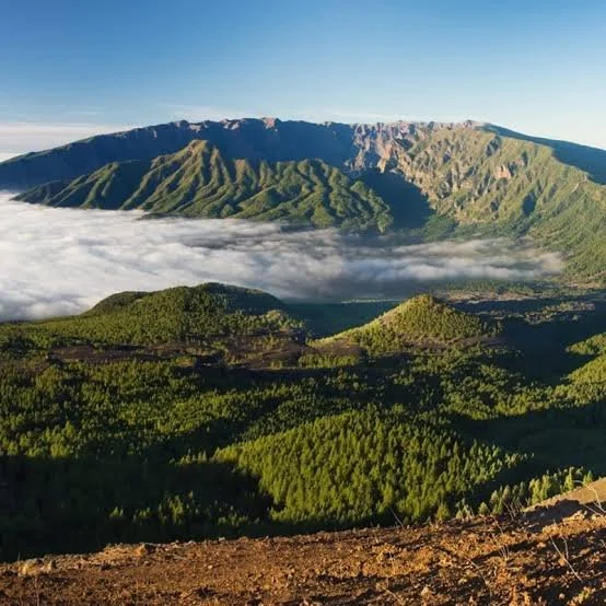 La Palma 