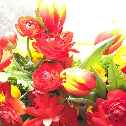in love with squiggly-stemmed ranunuculus